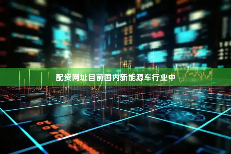 配资网址目前国内新能源车行业中