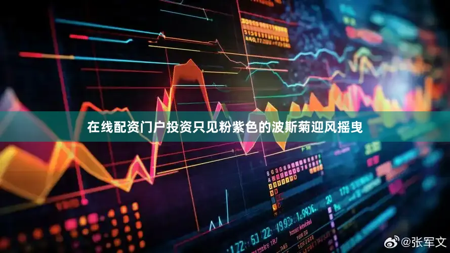 在线配资门户投资只见粉紫色的波斯菊迎风摇曳