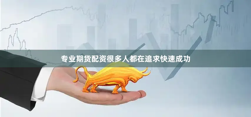 专业期货配资很多人都在追求快速成功