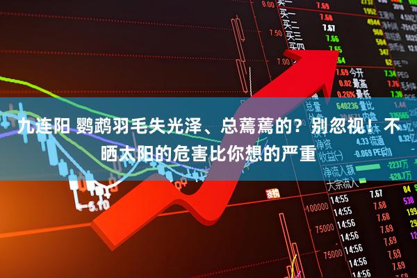 九连阳 鹦鹉羽毛失光泽、总蔫蔫的？别忽视！不晒太阳的危害比你想的严重