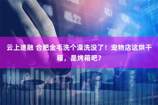 云上速融 合肥金毛洗个澡洗没了！宠物店这烘干箱，是烤箱吧？