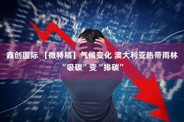鑫创国际 【微特稿】气候变化 澳大利亚热带雨林“吸碳”变“排碳”
