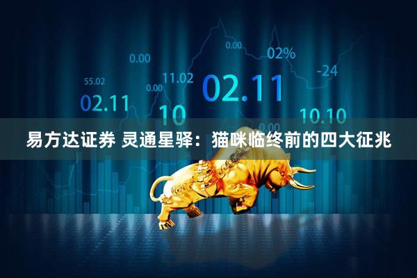 易方达证券 灵通星驿：猫咪临终前的四大征兆
