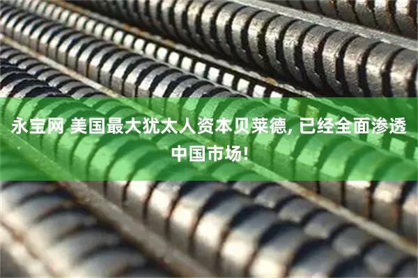 永宝网 美国最大犹太人资本贝莱德, 已经全面渗透中国市场!