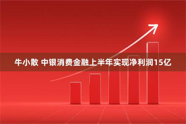 牛小散 中银消费金融上半年实现净利润15亿