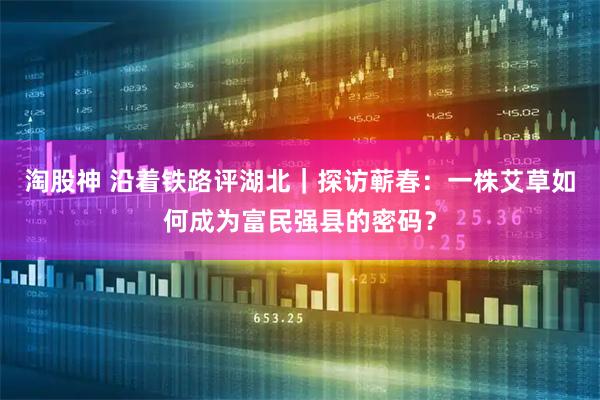 淘股神 沿着铁路评湖北｜探访蕲春：一株艾草如何成为富民强县的密码？
