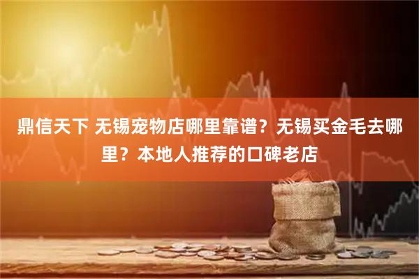 鼎信天下 无锡宠物店哪里靠谱？无锡买金毛去哪里？本地人推荐的口碑老店